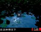 CCTV人物頻道《珠山八友》第二集