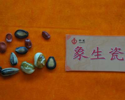 陶瓷藝術奇葩—象聲瓷
