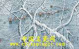 “以大師為名”之景德鎮(zhèn)現(xiàn)當代藝術瓷市場