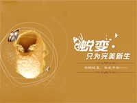 前言：由此蛻變