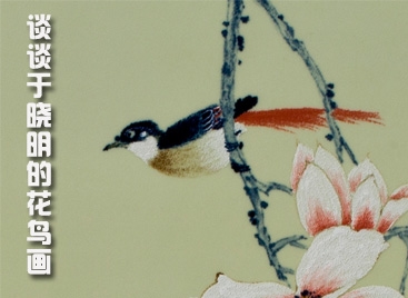 談?wù)動(dòng)跁悦鞯幕B(niǎo)畫(huà)